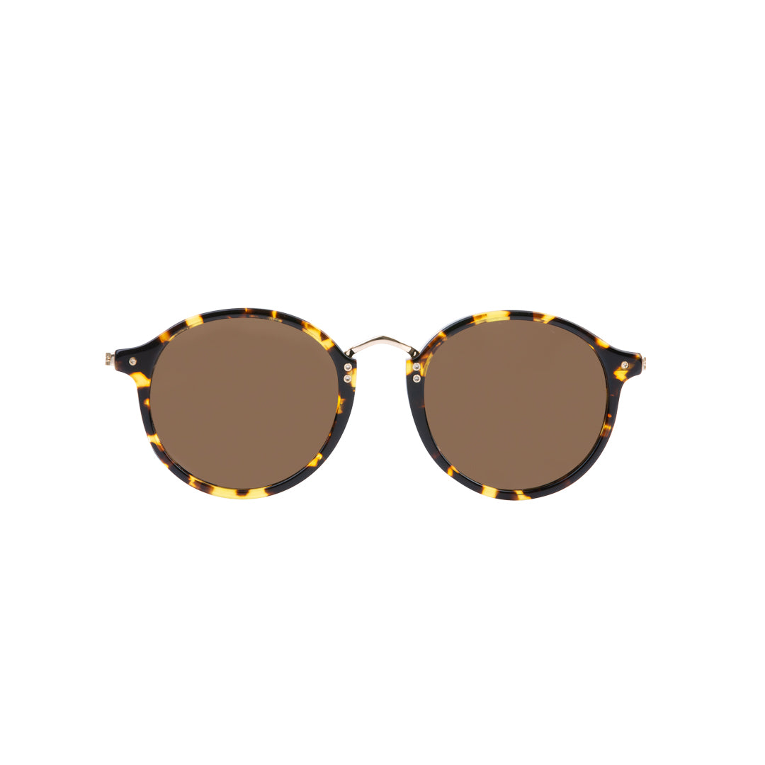 Orbit - Havana (Polarised) - RIXX Eyewear