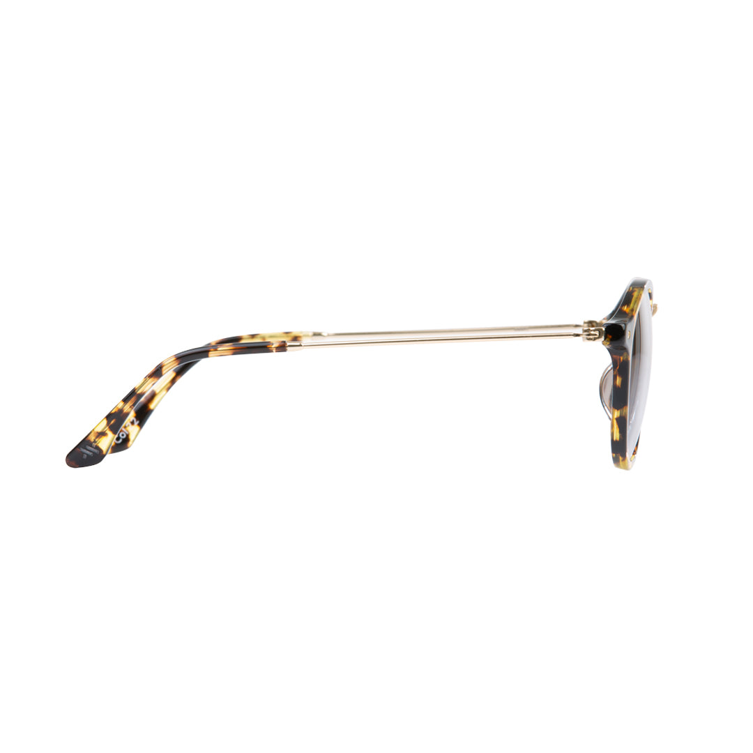 Orbit - Havana (Polarised) - RIXX Eyewear