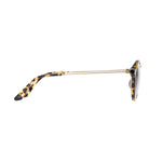 Orbit - Havana (Polarised) - RIXX Eyewear